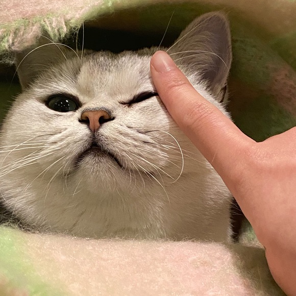 Urban outfitters checkered scarf - Picture 6 of 6